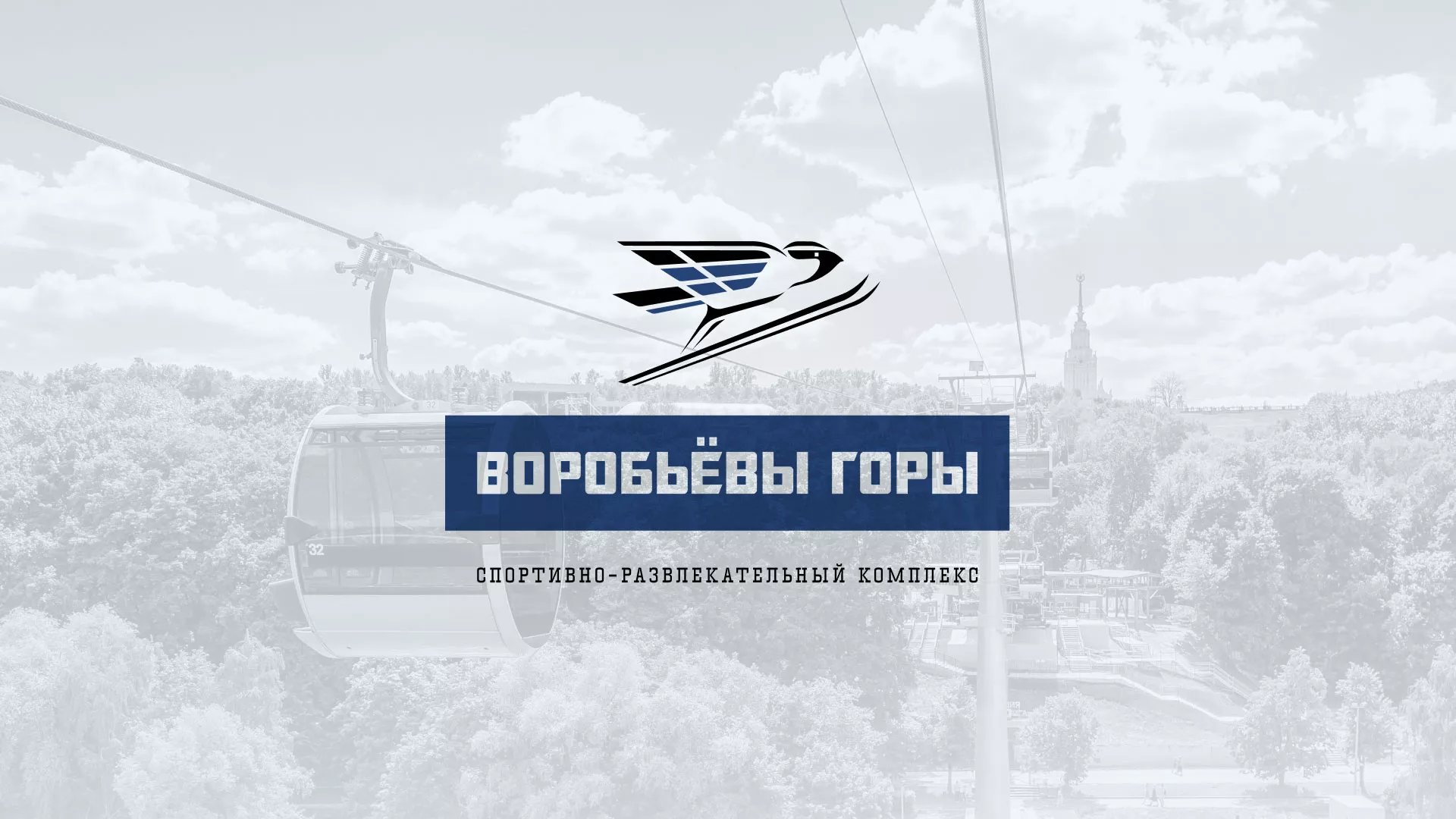Разработка сайта в Донецке для спортивно-развлекательного комплекса «Воробьёвы горы»